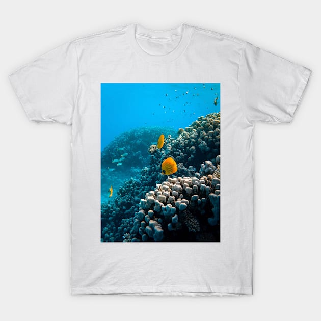 Ocean Life T-Shirt by NewburyBoutique